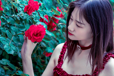 三亚上线“一社一码，一导一码”平台 全程溯源监督旅游服务